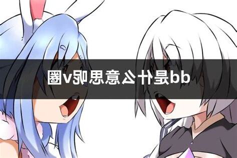dd 意思